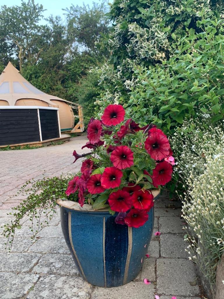 Romantic Luxus Glamping 1 Idestrup ภายนอก รูปภาพ