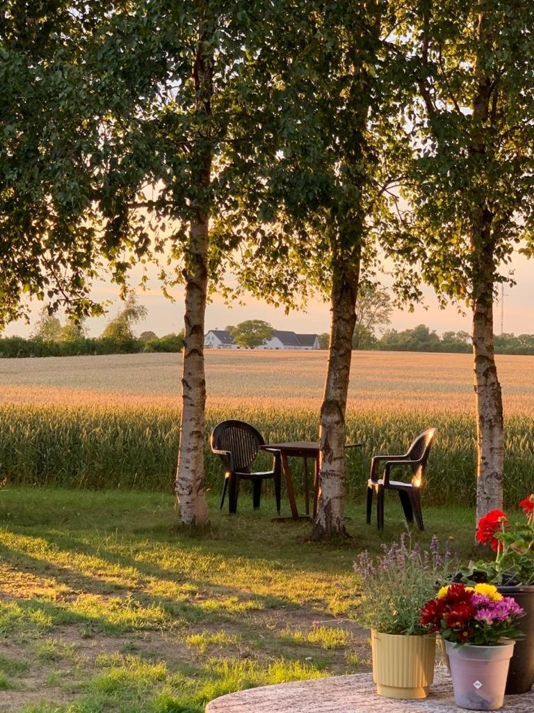 Romantic Luxus Glamping 1 Idestrup ภายนอก รูปภาพ