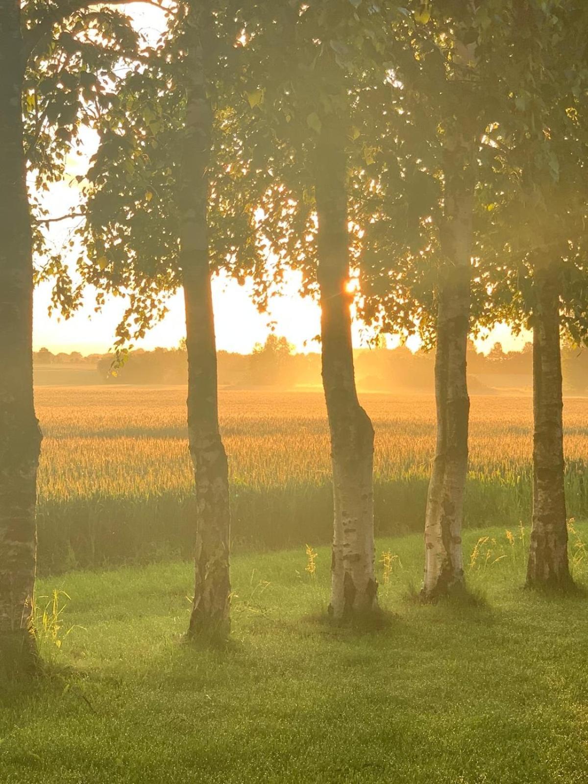 Romantic Luxus Glamping 1 Idestrup ภายนอก รูปภาพ